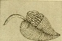 An illustration from The ladies' guide to needle work, embroidery, etc. : being a complete guide to all kinds of ladies' fancy work (1877)