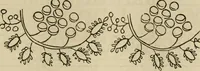 An illustration from The ladies' hand book of fancy and ornamental work ... (1859)