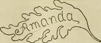 An illustration from The ladies' hand book of fancy and ornamental work ... (1859)