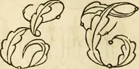 An illustration from The ladies' hand book of fancy and ornamental work ... (1859)