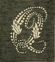 An illustration from The ladies' hand book of fancy and ornamental work ... (1859)