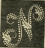 An illustration from The ladies' hand book of fancy and ornamental work ... (1859)