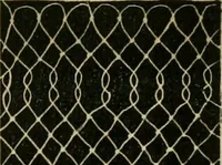 An illustration from The ladies' hand book of fancy and ornamental work ... (1859)