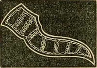 Picture 170 of 198 from The ladies' hand book of fancy and ornamental work ... (1859), leaf 201