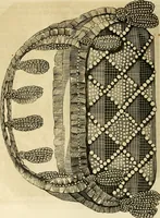 An illustration from The ladies' hand book of fancy and ornamental work ... (1859)