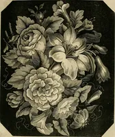 An illustration from The ladies' hand book of fancy and ornamental work ... (1859)