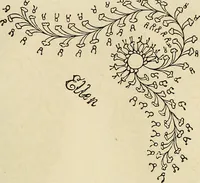 Picture 98 of 197 from The ladies' hand book of fancy and ornamental work .. (1860), leaf 132