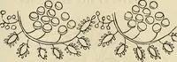 Picture 107 of 197 from The ladies' hand book of fancy and ornamental work .. (1860), leaf 136