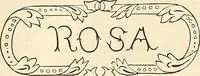 Picture 139 of 197 from The ladies' hand book of fancy and ornamental work .. (1860), leaf 177