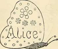 Picture 146 of 197 from The ladies' hand book of fancy and ornamental work .. (1860), leaf 179