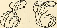 An illustration from The ladies' hand book of fancy and ornamental work .. (1860)