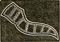 Picture 169 of 197 from The ladies' hand book of fancy and ornamental work .. (1860), leaf 201