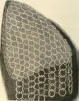 Picture 8 of 197 from The ladies' hand book of fancy and ornamental work .. (1860), leaf 29