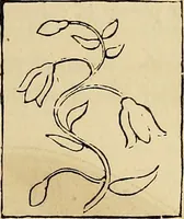 An illustration from The ladies' hand book of fancy and ornamental work .. (1860)
