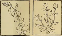 An illustration from The ladies' hand book of fancy and ornamental work .. (1860)