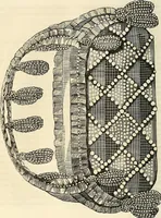 Picture 66 of 197 from The ladies' hand book of fancy and ornamental work .. (1860), leaf 89