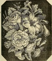 Picture 67 of 197 from The ladies' hand book of fancy and ornamental work .. (1860), leaf 90
