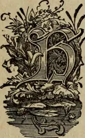 An illustration from Ladies' manual of art : or, Profit and pastime : a self teacher in all branches of decorative art, embracing every variety of painting and drawing on china, glass, velvet, canvas, paper and wood : the secret of all glass transparencies, sketching from nature, pastel and crayon drawing, taxidermy, etc (1887)