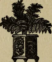 An illustration from Ladies' manual of art : or, Profit and pastime : a self teacher in all branches of decorative art, embracing every variety of painting and drawing on china, glass, velvet, canvas, paper and wood : the secret of all glass transparencies, sketching from nature, pastel and crayon drawing, taxidermy, etc (1887)