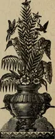 An illustration from Ladies' manual of art : or, Profit and pastime : a self teacher in all branches of decorative art, embracing every variety of painting and drawing on china, glass, velvet, canvas, paper and wood : the secret of all glass transparencies, sketching from nature, pastel and crayon drawing, taxidermy, etc (1887)