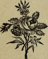 An illustration from Ladies' manual of art : or, Profit and pastime : a self teacher in all branches of decorative art, embracing every variety of painting and drawing on china, glass, velvet, canvas, paper and wood : the secret of all glass transparencies, sketching from nature, pastel and crayon drawing, taxidermy, etc (1887)