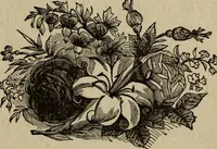 An illustration from Ladies' manual of art : or, Profit and pastime : a self teacher in all branches of decorative art, embracing every variety of painting and drawing on china, glass, velvet, canvas, paper and wood : the secret of all glass transparencies, sketching from nature, pastel and crayon drawing, taxidermy, etc (1887)