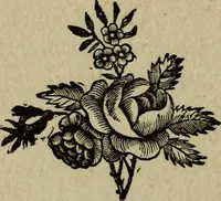 An illustration from Ladies' manual of art : or, Profit and pastime : a self teacher in all branches of decorative art, embracing every variety of painting and drawing on china, glass, velvet, canvas, paper and wood : the secret of all glass transparencies, sketching from nature, pastel and crayon drawing, taxidermy, etc (1887)