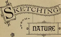 Picture 7 of 76 from Ladies' manual of art : or, Profit and pastime : a self teacher in all branches of decorative art, embracing every variety of painting and drawing on china, glass, velvet, canvas, paper and wood : the secret of all glass transparencies, sketching from nature, pastel and crayon drawing, taxidermy, etc (1887), leaf 18