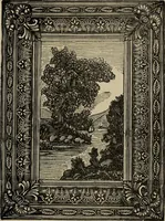 An illustration from Ladies' manual of art : or, Profit and pastime : a self teacher in all branches of decorative art, embracing every variety of painting and drawing on china, glass, velvet, canvas, paper and wood : the secret of all glass transparencies, sketching from nature, pastel and crayon drawing, taxidermy, etc (1887)
