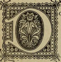 An illustration from Ladies' manual of art : or, Profit and pastime : a self teacher in all branches of decorative art, embracing every variety of painting and drawing on china, glass, velvet, canvas, paper and wood : the secret of all glass transparencies, sketching from nature, pastel and crayon drawing, taxidermy, etc (1887)