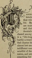 An illustration from Ladies' manual of art : or, Profit and pastime : a self teacher in all branches of decorative art, embracing every variety of painting and drawing on china, glass, velvet, canvas, paper and wood : the secret of all glass transparencies, sketching from nature, pastel and crayon drawing, taxidermy, etc (1887)