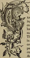 An illustration from Ladies' manual of art : or, Profit and pastime : a self teacher in all branches of decorative art, embracing every variety of painting and drawing on china, glass, velvet, canvas, paper and wood : the secret of all glass transparencies, sketching from nature, pastel and crayon drawing, taxidermy, etc (1887)