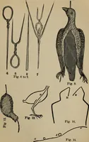 An illustration from Ladies' manual of art : or, Profit and pastime : a self teacher in all branches of decorative art, embracing every variety of painting and drawing on china, glass, velvet, canvas, paper and wood : the secret of all glass transparencies, sketching from nature, pastel and crayon drawing, taxidermy, etc (1887)