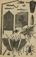 An illustration from Ladies' manual of art : or, Profit and pastime : a self teacher in all branches of decorative art, embracing every variety of painting and drawing on china, glass, velvet, canvas, paper and wood : the secret of all glass transparencies, sketching from nature, pastel and crayon drawing, taxidermy, etc (1887)