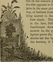 Picture 11 of 76 from Ladies' manual of art : or, Profit and pastime : a self teacher in all branches of decorative art, embracing every variety of painting and drawing on china, glass, velvet, canvas, paper and wood : the secret of all glass transparencies, sketching from nature, pastel and crayon drawing, taxidermy, etc (1887), leaf 31