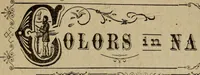 An illustration from Ladies' manual of art : or, Profit and pastime : a self teacher in all branches of decorative art, embracing every variety of painting and drawing on china, glass, velvet, canvas, paper and wood : the secret of all glass transparencies, sketching from nature, pastel and crayon drawing, taxidermy, etc (1887)