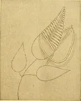 An illustration from Ladies' manual of embroidery and stamping. Giving full instructions in making the stitches .. (1884)
