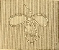 An illustration from Ladies' manual of embroidery and stamping. Giving full instructions in making the stitches .. (1884)