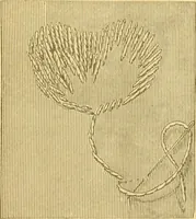 An illustration from Ladies' manual of embroidery and stamping. Giving full instructions in making the stitches .. (1884)