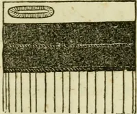 An illustration from The Ladies' self instructor in millinery and mantua making, embroidery and appliqué, canvas-work, knitting, netting, and crochet-work (1853)