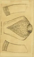 An illustration from The Ladies' self instructor in millinery and mantua making, embroidery and appliqué, canvas-work, knitting, netting, and crochet-work (1853)