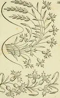 An illustration from The Ladies' self instructor in millinery and mantua making, embroidery and appliqué, canvas-work, knitting, netting, and crochet-work (1853)