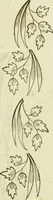 An illustration from The Ladies' self instructor in millinery and mantua making, embroidery and appliqué, canvas-work, knitting, netting, and crochet-work (1853)