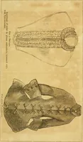 An illustration from The Ladies' self instructor in millinery and mantua making, embroidery and appliqué, canvas-work, knitting, netting, and crochet-work (1853)