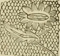 An illustration from The Ladies' self instructor in millinery and mantua making, embroidery and appliqué, canvas-work, knitting, netting, and crochet-work (1853)