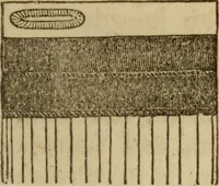 An illustration from The Ladies' self instructor in millinery and mantua making, embroidery and appliqué, canvas-work, knitting, netting, and crochet-work (1853)