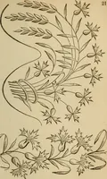 An illustration from The Ladies' self instructor in millinery and mantua making, embroidery and appliqué, canvas-work, knitting, netting, and crochet-work (1853)