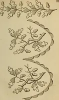 An illustration from The Ladies' self instructor in millinery and mantua making, embroidery and appliqué, canvas-work, knitting, netting, and crochet-work (1853)