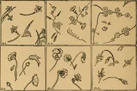 An illustration from Ladies's work for pleasure and profit (1894)