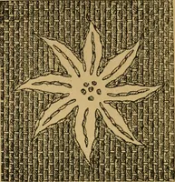 An illustration from Ladies's work for pleasure and profit (1894)
